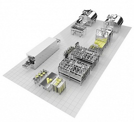 Линии производства п/тв сыра до 15 т/сут